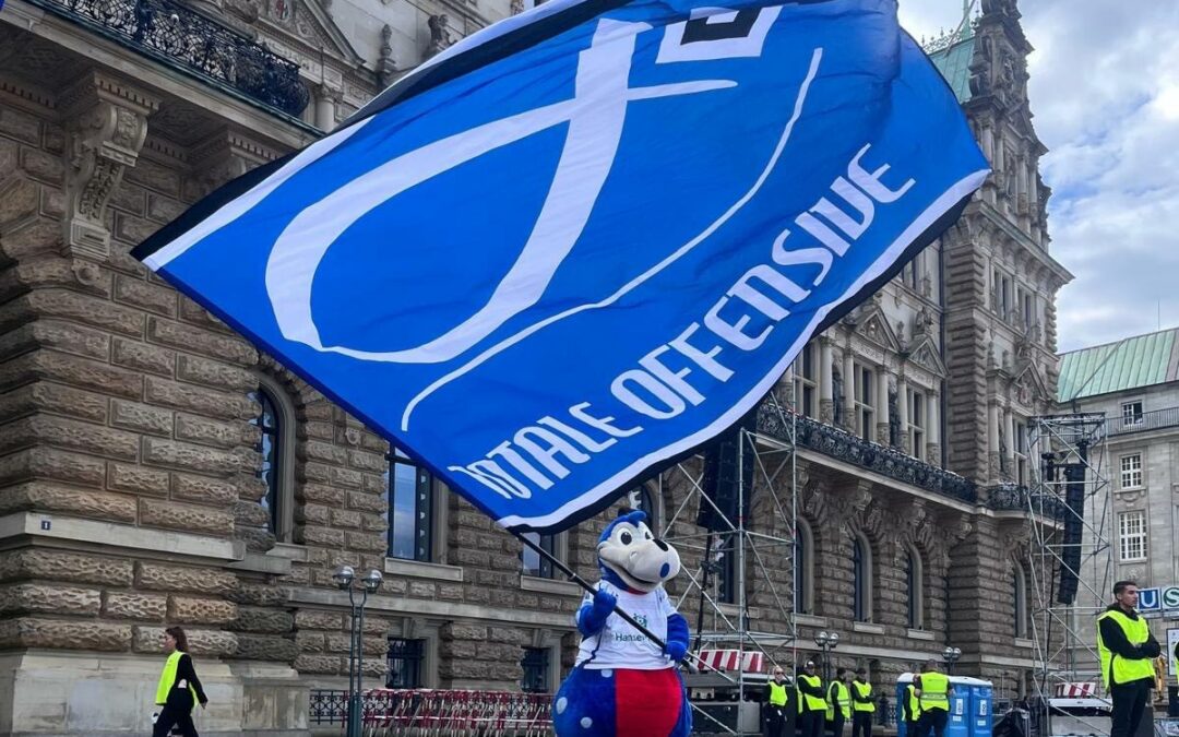 ENDLICH – DER HSV STEIGT WIEDER IN DIE BUNDESLIGA AUF!