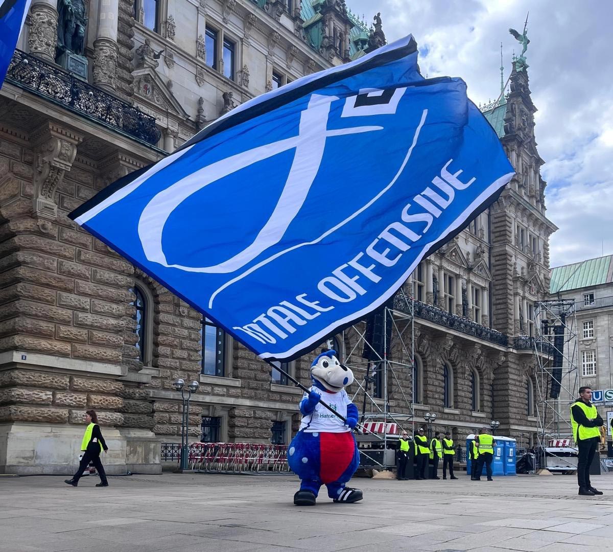 ENDLICH – DER HSV STEIGT WIEDER IN DIE BUNDESLIGA AUF!