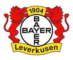 Partner 33 Bayer Leverkusen Logo