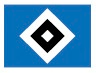 Partner 27 HSV Logo